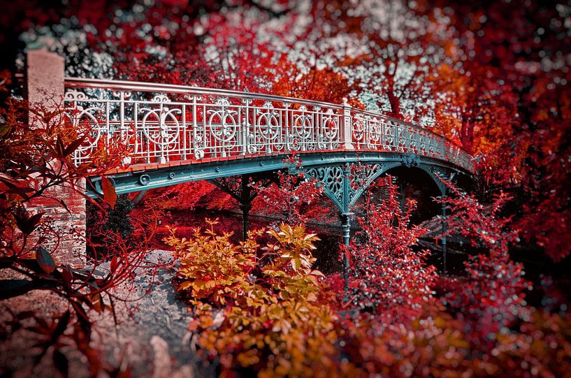 Amsterdam Norbert Elias Brücke I - Norbert Eliasbrug von Marlika Art