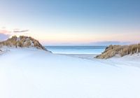 Sea Through