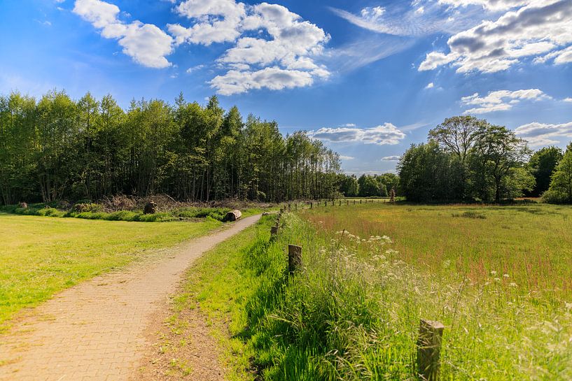 The Path to Silence by Artist Impression of Nature