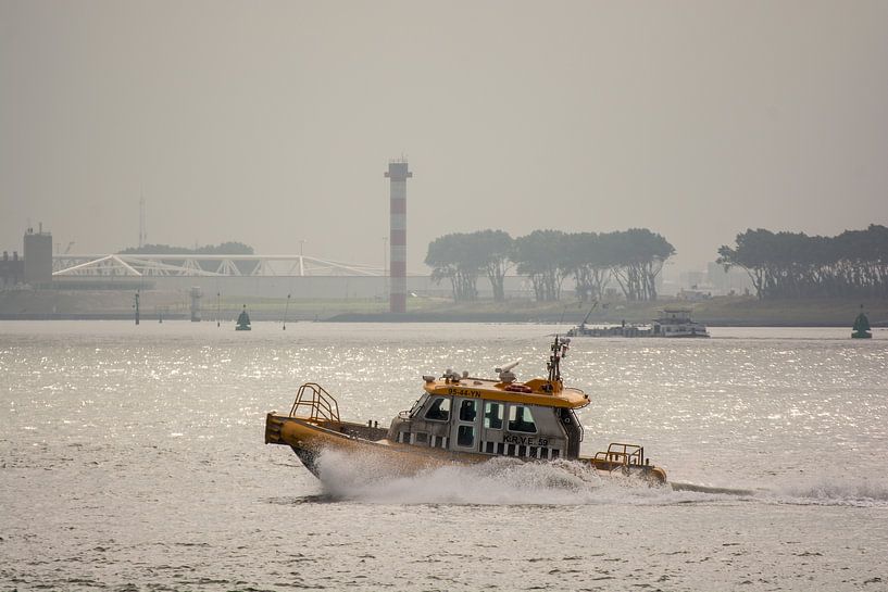 Roeiers onderweg naar de haven van Hoek van Holland. van scheepskijkerhavenfotografie