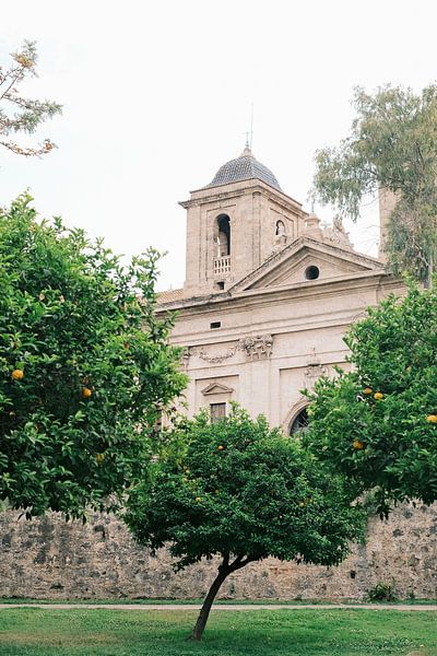Le parc du Turia à Valence // Espagne // Photographie de voyage et de rue par Diana van Neck Photography