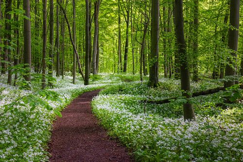 Ways to relaxation XXI