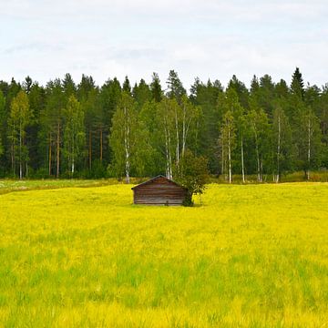 Schuppen in Schweden von Anne Travel Foodie