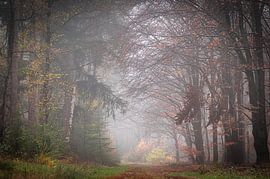 Picturesque autumn scene