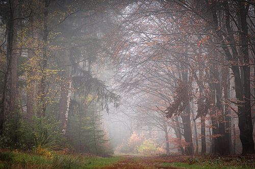 Schilderachtig herfsttafereel
