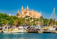 Idyllisch uitzicht op kathedraal La Seu en haven in Palma de Mallorca