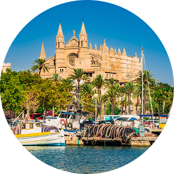 Idyllisch uitzicht op kathedraal La Seu en haven in Palma de Mallorca