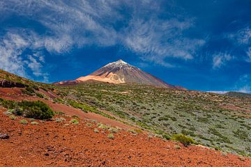 Vulkaan Pico del Teide van Walter G. Allgöwer