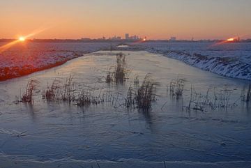 Rotterdam winter sunrise reflection