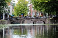 Den Haag
