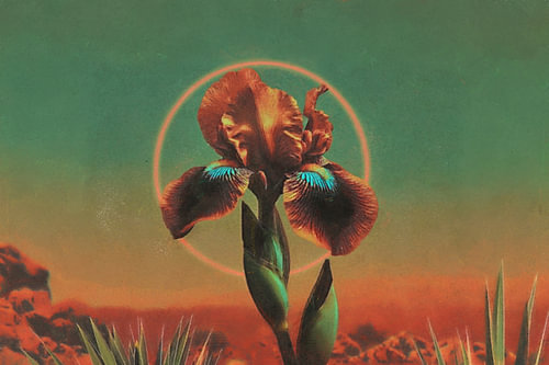 Otherworld Landscapes VI — Desert Iris