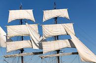 Klassisches Segelschiff der Dreimastbarque Artemis, das auf das Waddensea segelt von Sjoerd van der Wal Fotografie Miniaturansicht