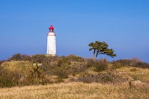 Der Leuchtturm Dornbusch auf der Insel Hiddensee