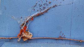 Lila III sur Ilona Picha-Höberth