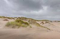Duinen in de storm