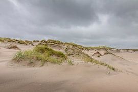 Duinen in de storm