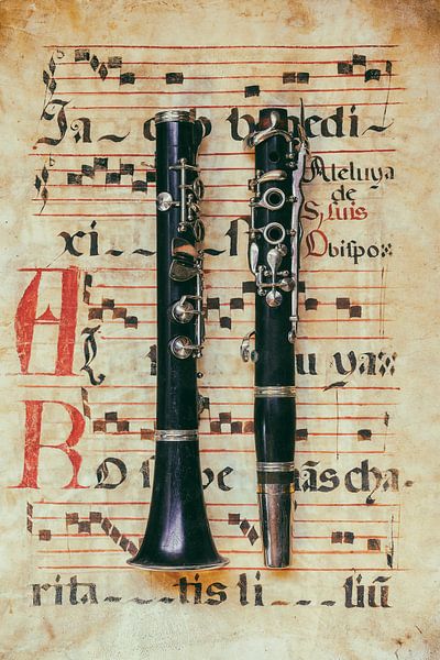 Ode aan Klassieke Muziek II van III van Martin Bergsma