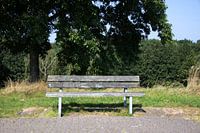 Die Natur entdecken in einem Waldgebiet im Emsland, Niedersachsen, Deutschland