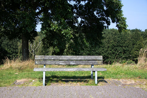 Ontdek de natuur in een bosrijk gebied in Emsland, Nedersaksen, Duitsland