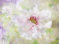 Nouvelle fleur n° 11