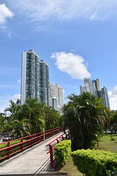 A walkway in the park