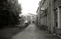 The raw environment of old factory buildings in Zaandam analogue.