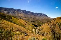 Südafrika - Safaris, Küsten und Weinberge