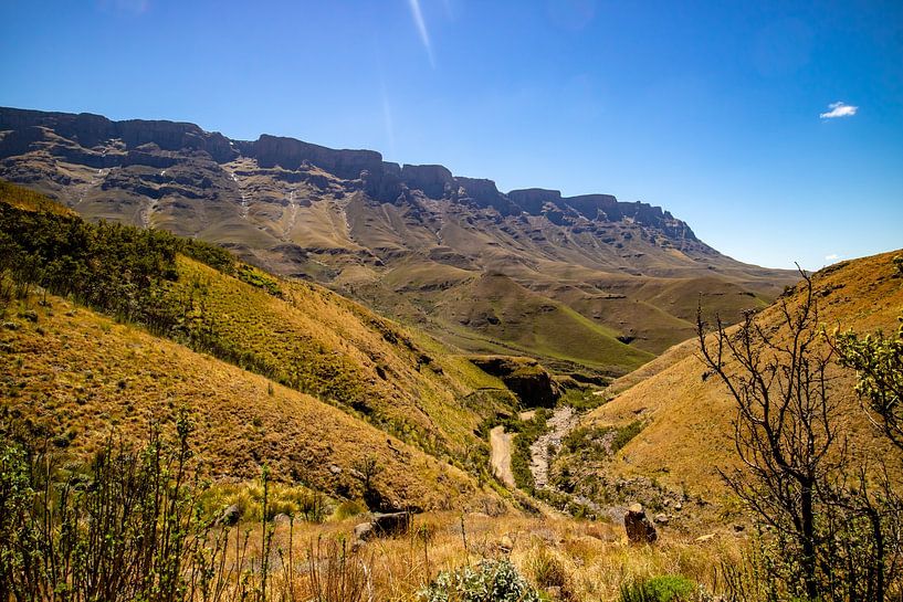 South Africa - Safaris, coastlines and vineyards by Patrick Fotografeert