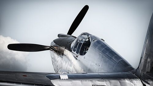 mustang p51