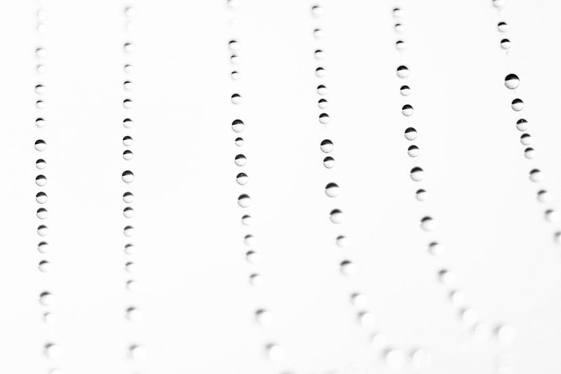Druppels op spinnenrag van Elles Rijsdijk