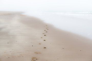 Verdwijnende voetstappen van Eddy Westdijk