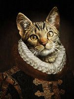De kat van Oranje