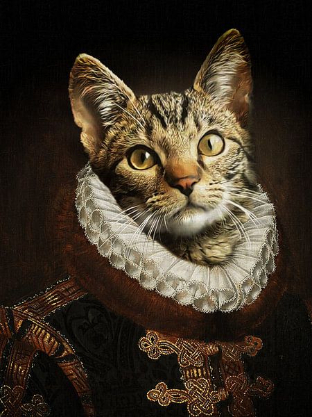 The cat of Orange by Babette van den Berg