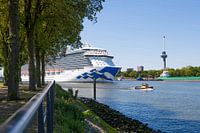 Ankunft Kreuzfahrtschiff in Rotterdam