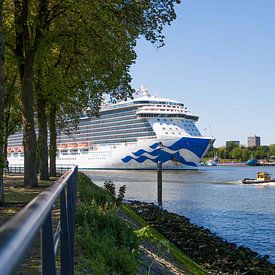 Aankomst cruiseschip in Rotterdam van Rob Altena