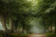 Sommerfrieden (Niederländischer Sommerwald mit Nebel) von Kees van Dongen Miniaturansicht