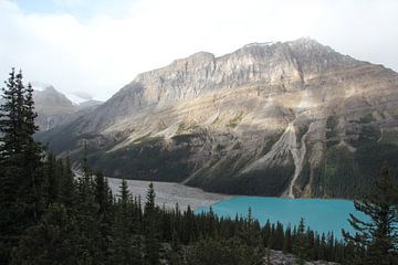 Bow Summit van René Boeff