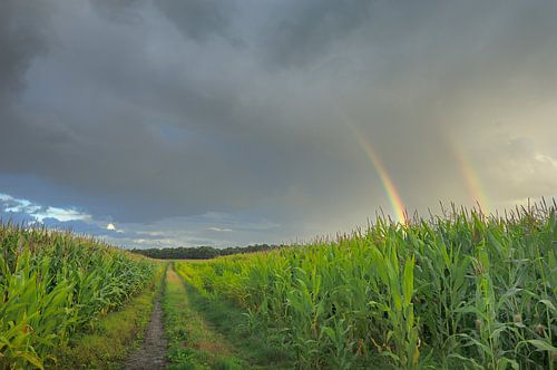 Emmikhuizerberg en natuurgeweld