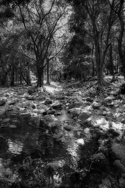 Mystic river Mauritius by Faucon Alexis