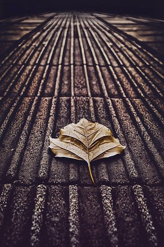 Strijklicht op Blindegeleideweg bij Centraal Station Groningen - voor Stads- en Lichtliefhebbers