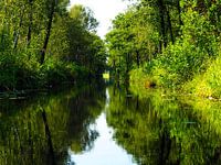 Wald und Wasser