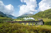 Jacobite Dampfzug passiert Glenfinnan Viadukt von Roelof Nijholt Miniaturansicht