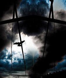 Vogelvrij by David Pichler