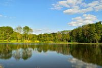 Frühling am Weiher