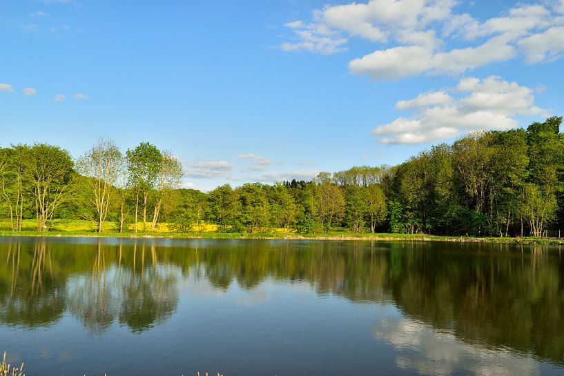 Frühling am Weiher van Karin Sigwarth