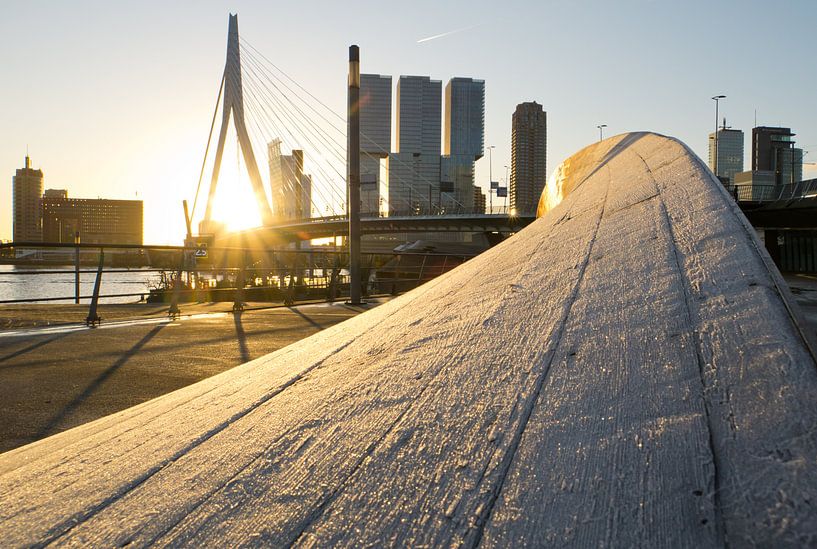 Gefrorenes Kunstwerk twist&amp;shout an der Erasmusbrücke Rotterdam von Remco Swiers