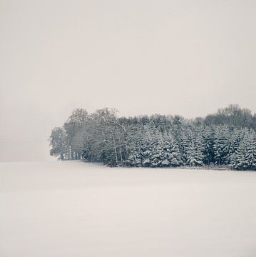 Silence sur Lena Weisbek