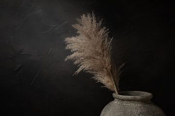 Donker stilleven met pampas pluimen in stenen kruik van Mayra Fotografie