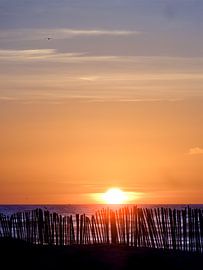 Sonniger Nachmittag von Photo by Chris