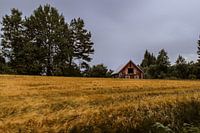 Schuur in Zweden voor een graanveld